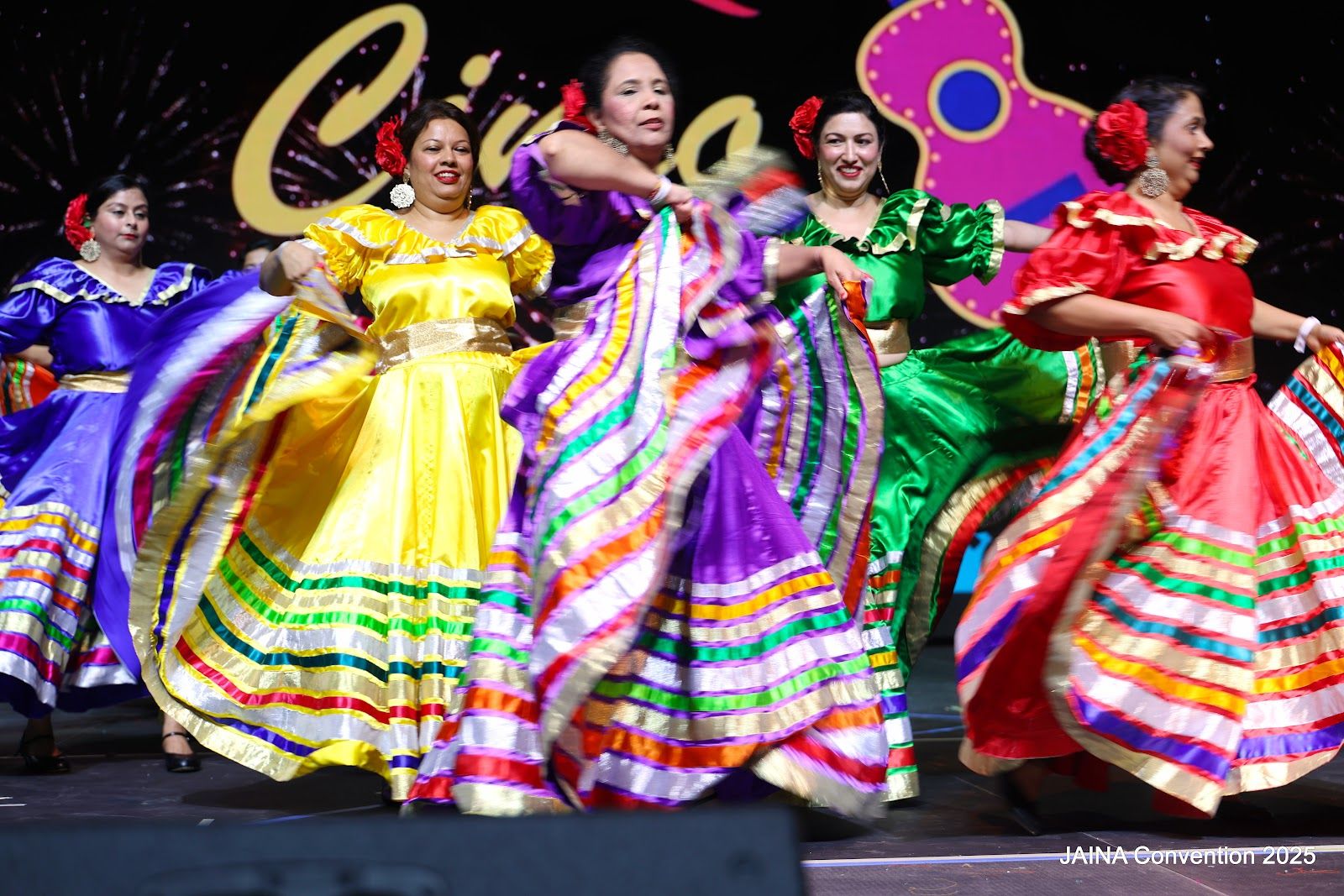Raas dancers in full swirl