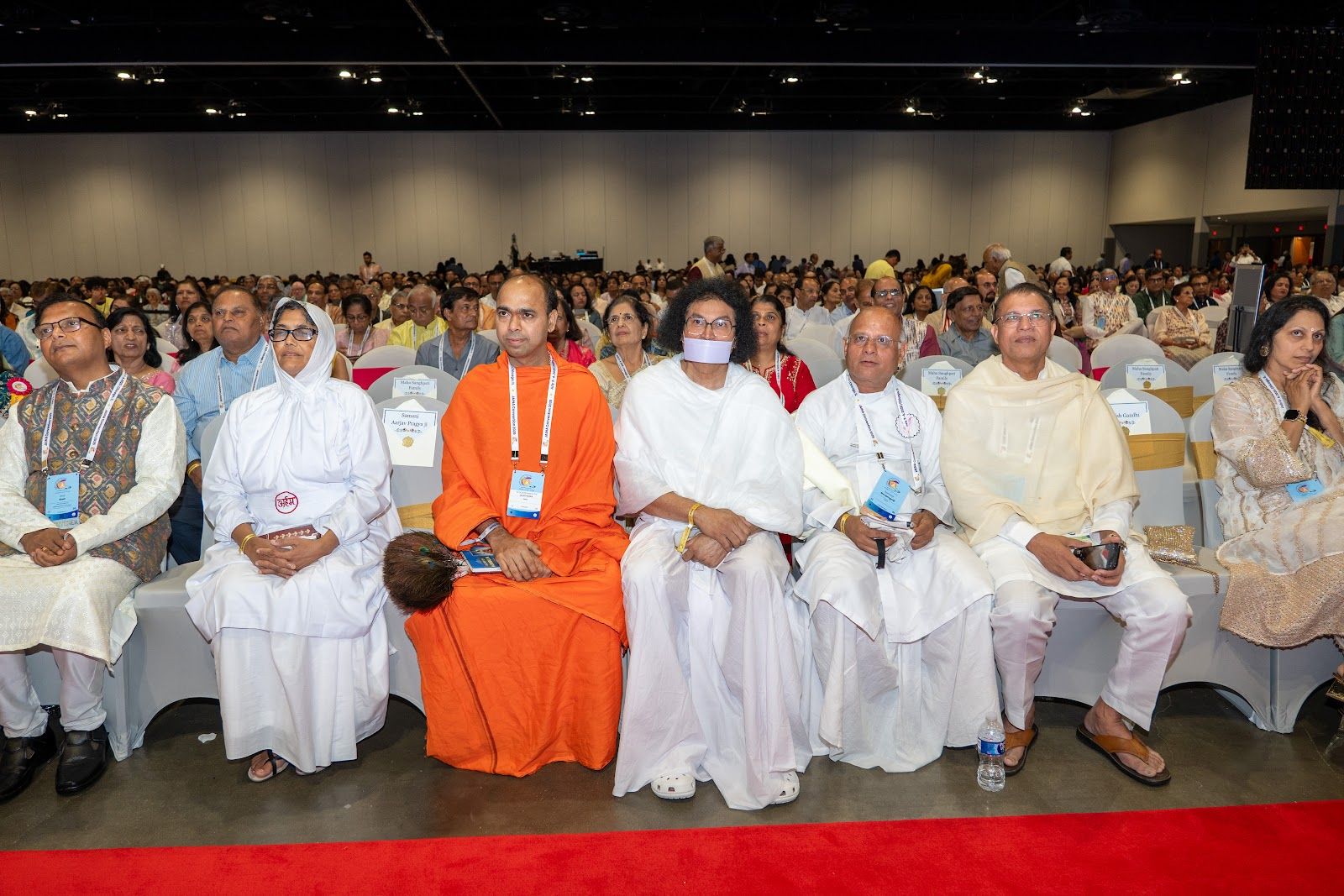 Sadhus and sadhvis at the 2025 convention